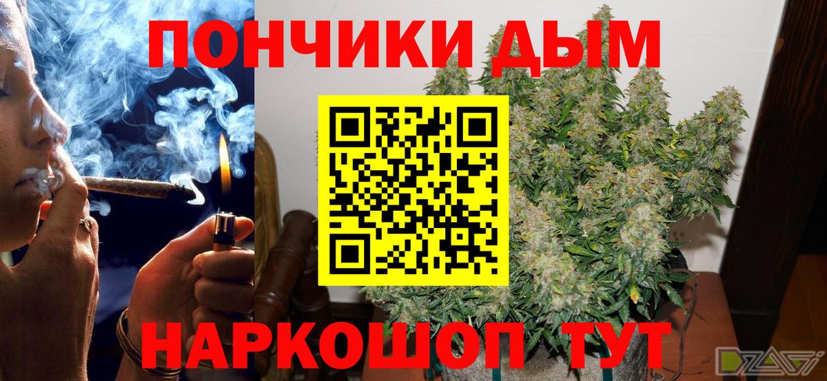 Конопля сатива Алексеевка